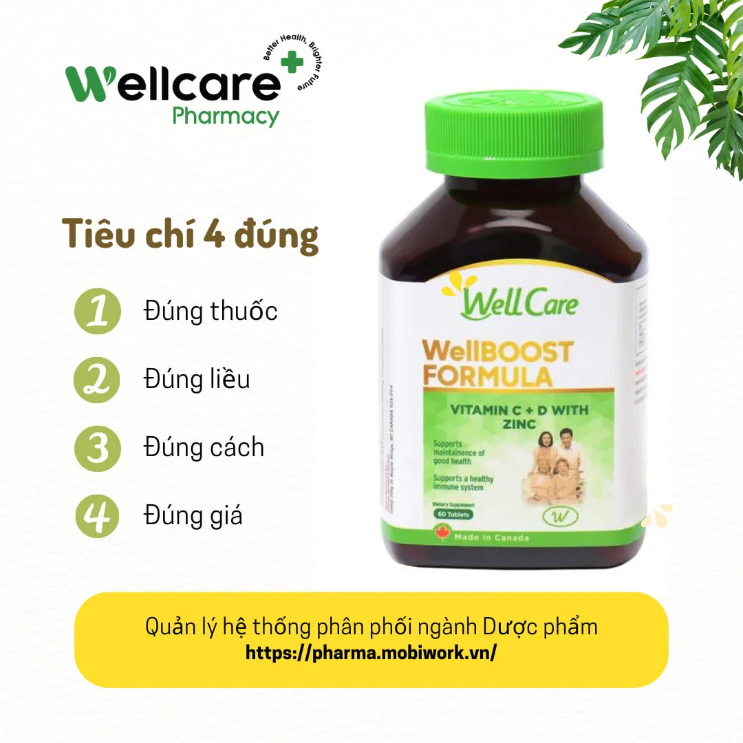 Wellcare CS Group ứng dụng MobiWork DMS quản lý hệ thống phân phối ngành dược phẩm