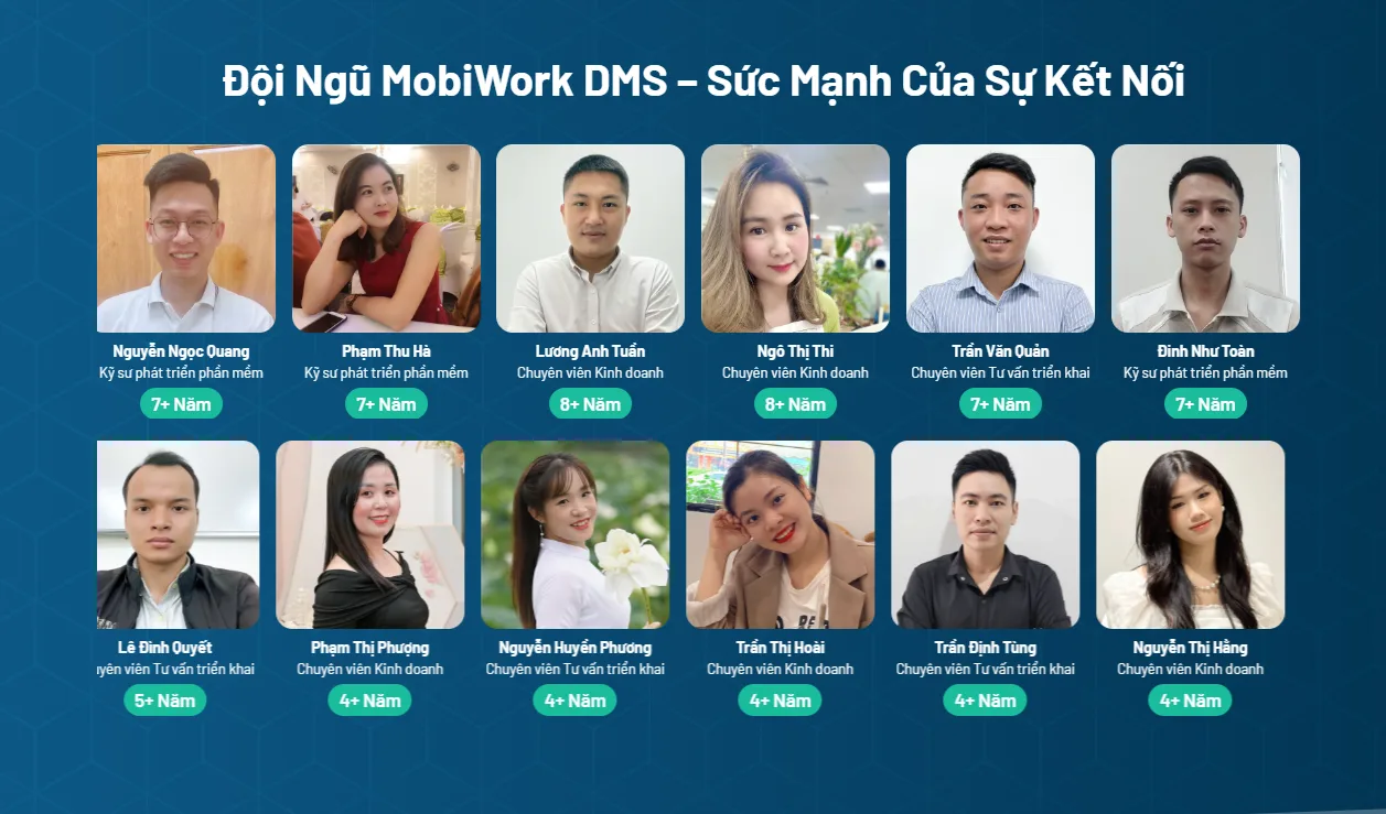 dich-vu-ho-tro-mobiwork-dms-hon-ca-mot-giai-phap-ma-la-mot-doi-tac-tin-cay-2