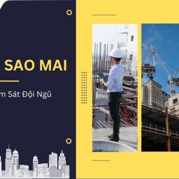 Xi Măng Sao Mai Giải Bài Toán Giám Sát Đội Ngũ Kinh Doanh Cùng MobiWork DMS