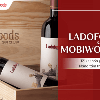 Ladofoods & Mobiwork DMS