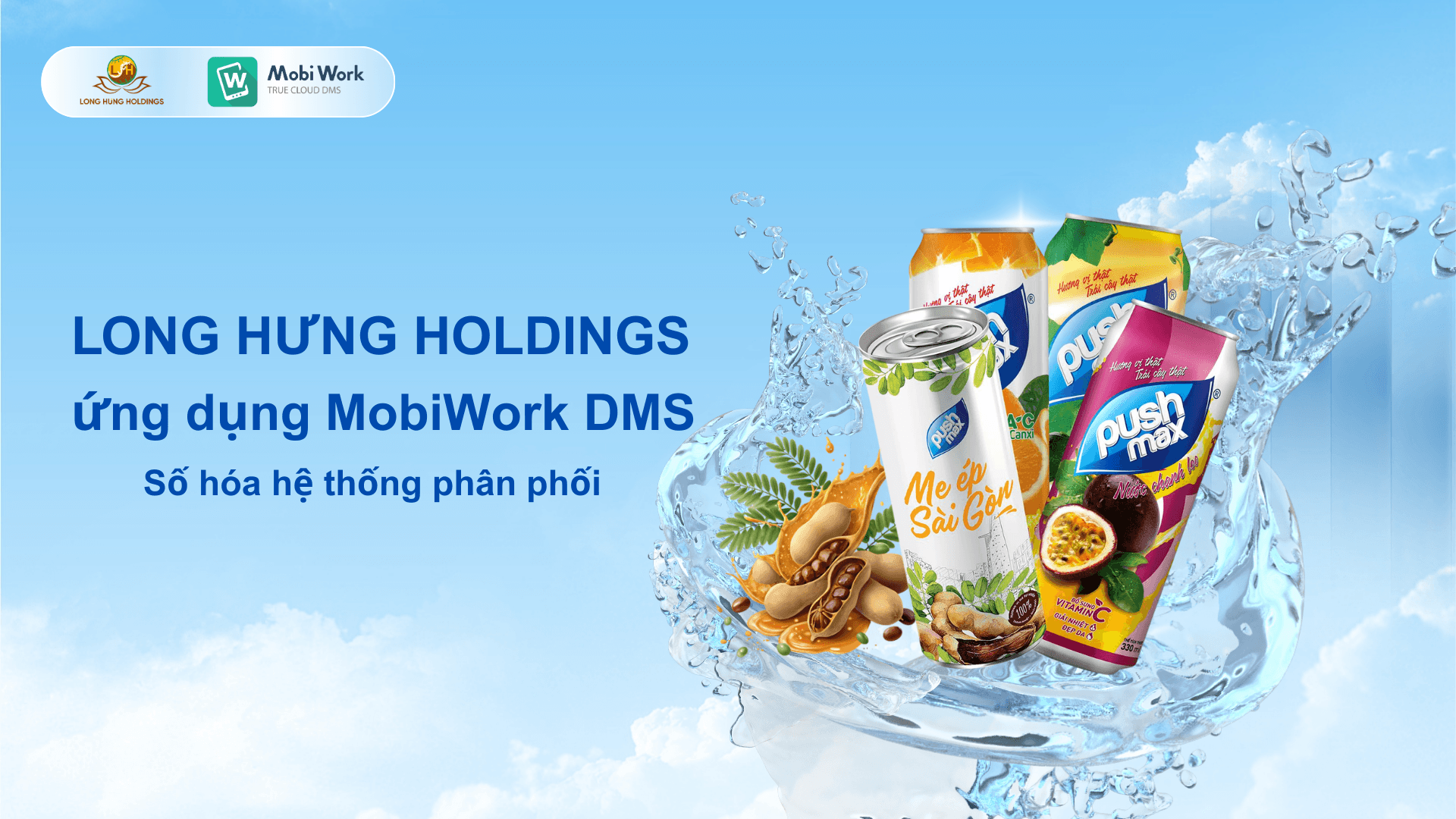 Long-hung-holdings-ung-dung-mobiwork-dms