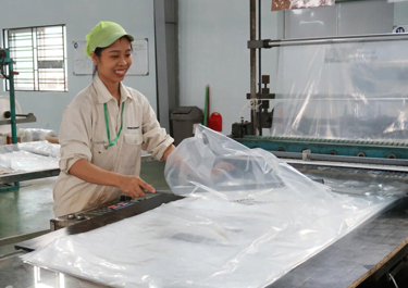 Xuất nhập khẩu Trường Giang