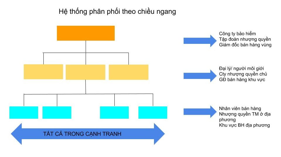 Hệ thống phân phối được các doanh nghiệp lớn tại Mỹ ưa chuộng - Phần 2
