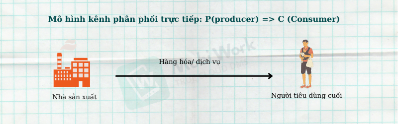 Mô hình kênh phân phối trực tiếp