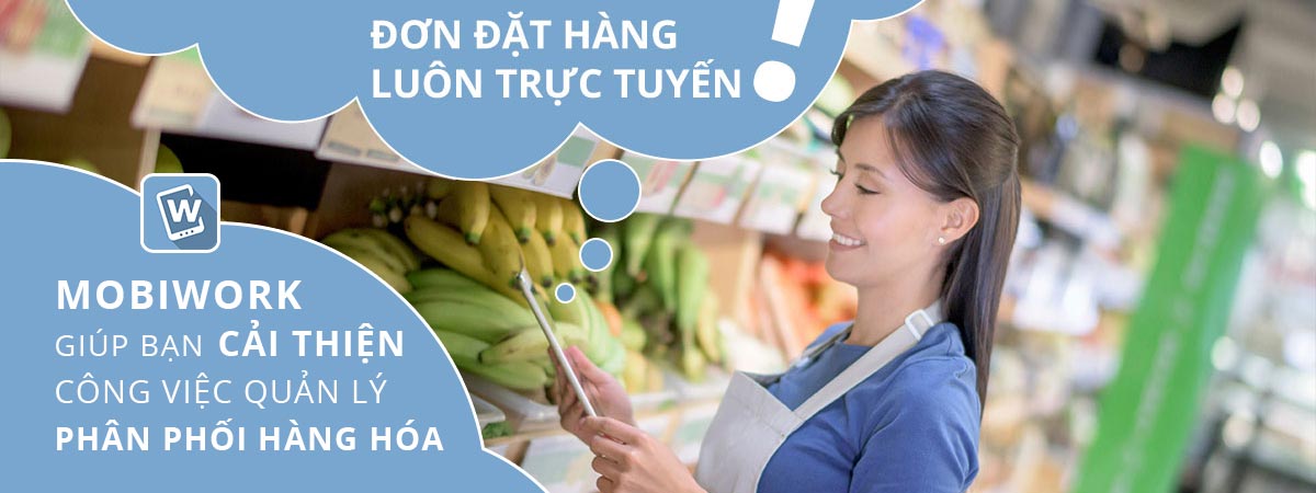Phần mềm quản lý hệ thống phân phối MobiWork DMS