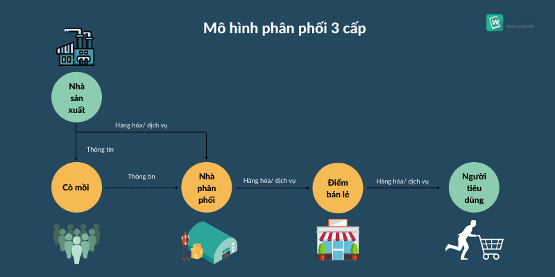phan-mem-dms--nganh-FMCG