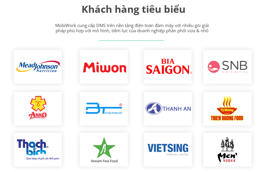 phan-mem-dms-cho nganh-fmcg